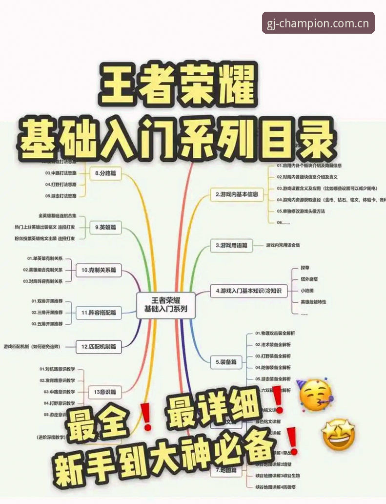 新手入门 vs 老手进阶：冠军娱乐玩家攻略全面对比分析
